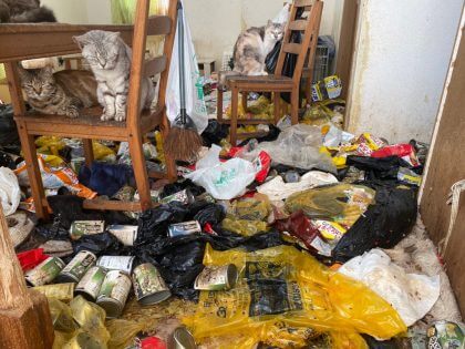 多頭飼い崩壊の家の清掃前の模様
