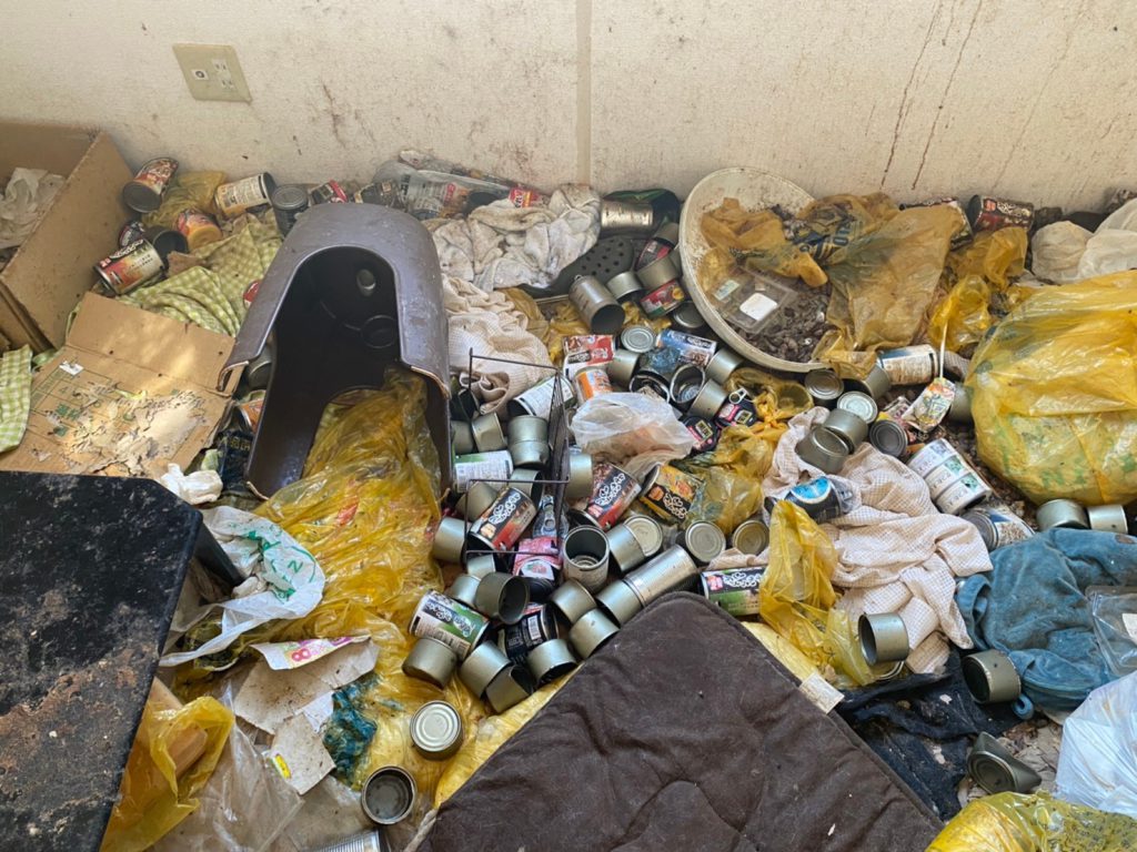 猫の多頭飼い崩壊現場