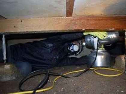 床下の消毒剤の散布